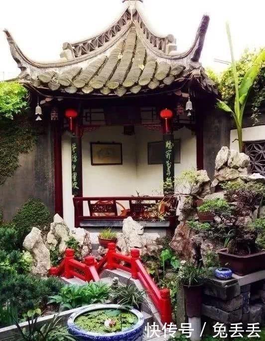  『养花』有个小院子，喝茶养花玩石头
