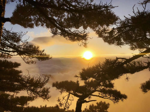 与黄山并称“姐妹山”的景点，景色超黄山，却是当地最低调的山