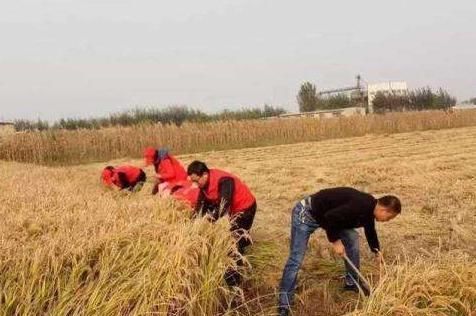 立秋将至，俗语“立秋顺秋，绵绵不休”什么意思？今年是顺秋吗？