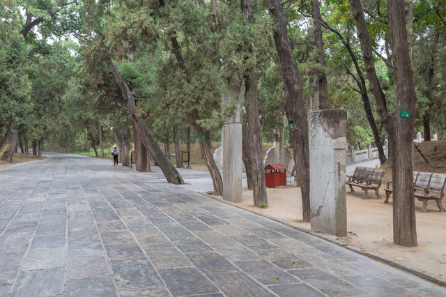  [时间]世界上延续时间最长的家族墓地，就在山东，占地3000多亩