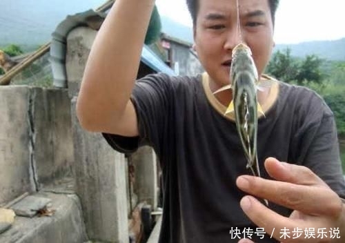 「黑色」这鱼沿海地区叫它“花身鸡鱼”体侧有3条成弓状的黑色纵带
