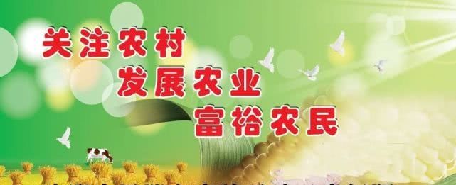人民网：切段农民后路的“城镇化”是个断子绝孙的馊主意！