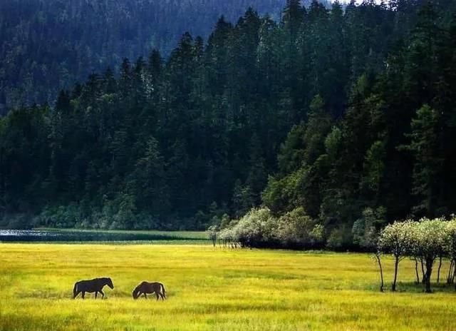 中国改名最成功的县级市，改名之后世界闻名