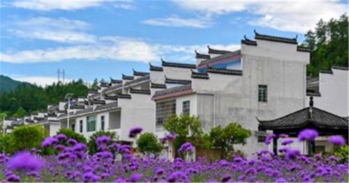  盖房■农村进行新农村建设，统一盖房，搬离老宅基地，你愿意去