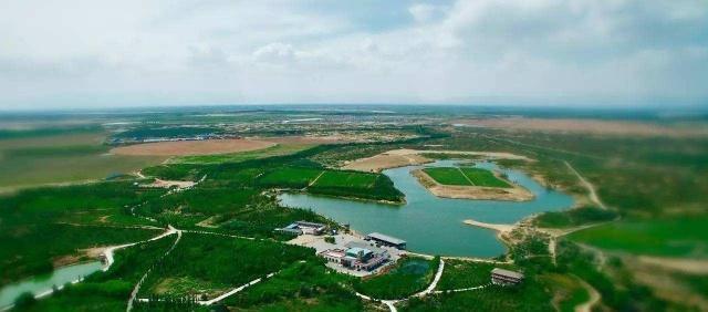 世界上第一个把沙漠变“绿洲”的国家, 不是日本, 也不是以色列