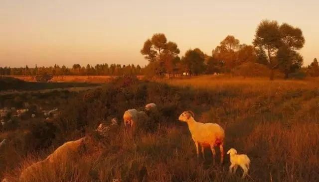 秋日里，山西20处绝美赏秋胜地美的像仙境