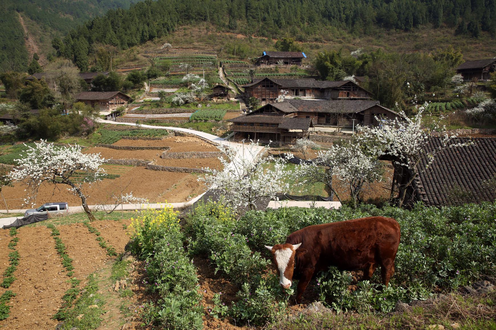 重庆市第二批历史文化名村预备名录公示(丰都)