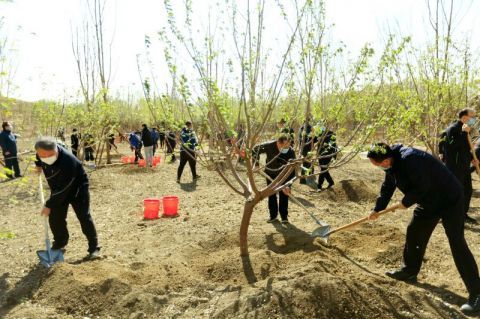  『公园』丰台植树活动“添绿”南苑森林湿地公园