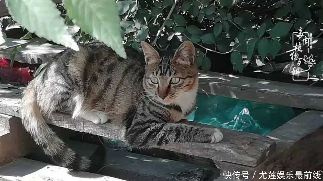  『那种』我爱的，就是你的存在！只要努力该来的都在路上！