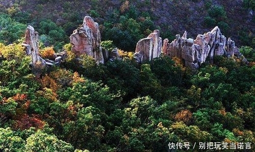 辽宁最大的城市，比5个盘锦还大，相当于2个大连