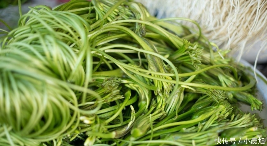农村最娇贵的野菜，连化肥都不能用，曾多到喂猪，如今成保护植物