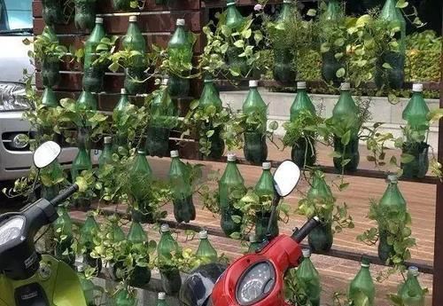  [实用]8个用塑料瓶制作的景观，有人觉得好看实用，但有人说丑爆了