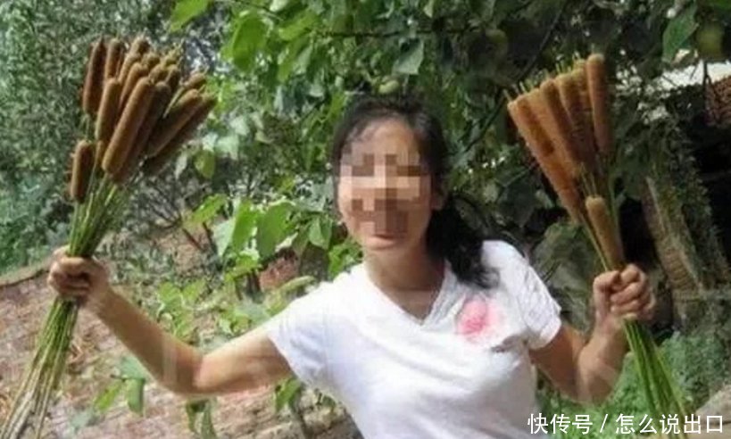 女大学生毕业后在农村种“热狗”，年收入让同村的人羡慕不已！