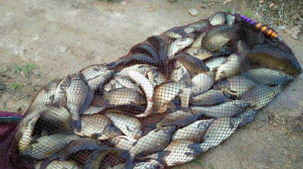  「浅谈」钓鱼人应该知道的什么是飞铅钓法,浅谈飞铅钓法的特点