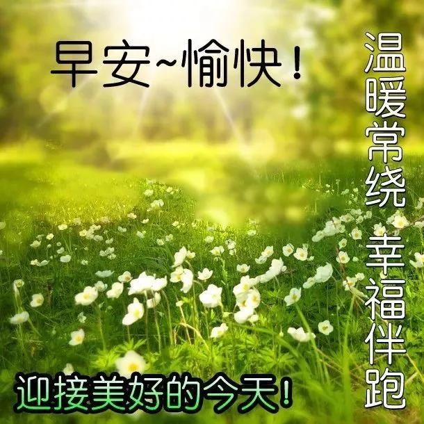  『早安』生就像一个戏剧，开心的时候是喜剧，伤心的时候是悲剧，早安