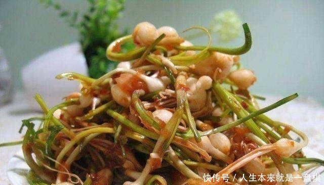  「春天」野生的“小根蒜”价值在根茎，怎么吃都下饭，春天正好冒新芽