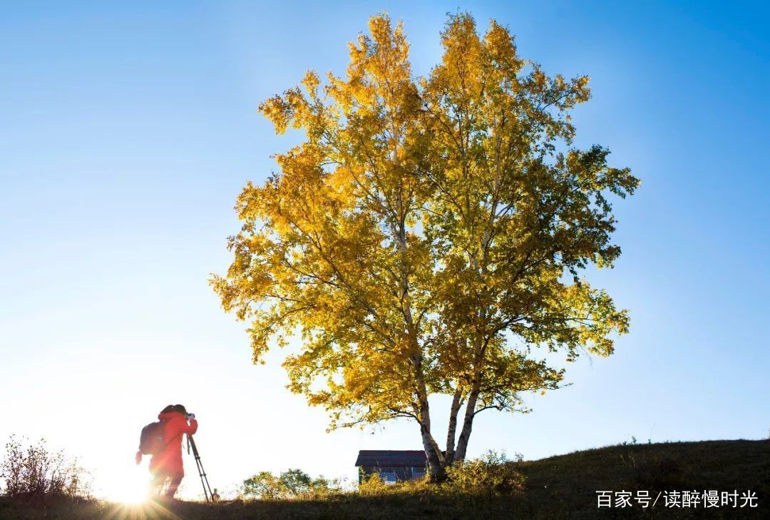 走进秋天的童话世界——乌兰布统大草原