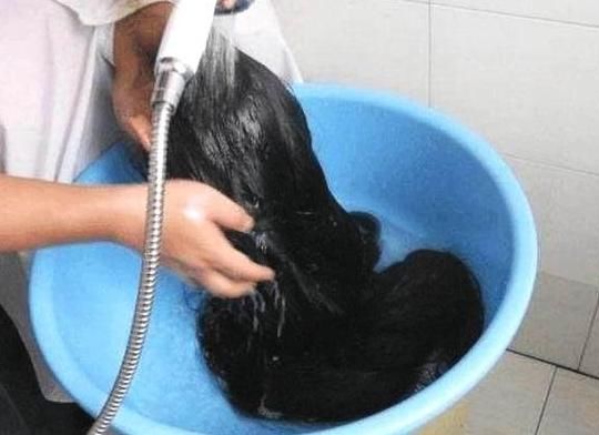 家里厨房里常见的它，坚持每次洗头随手放一点，头发不出几次乌黑