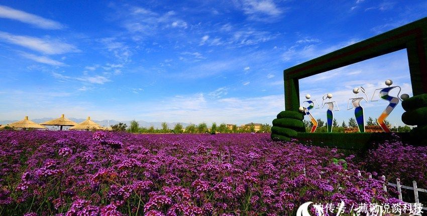 宁夏沙湖5A级景区推出金秋免票优惠措施