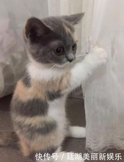 病毒感染会出现