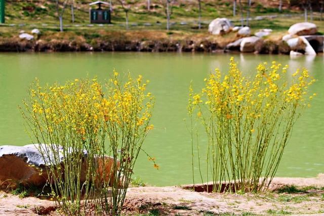 三月春暖花开,又到了寻花问柳的季节!