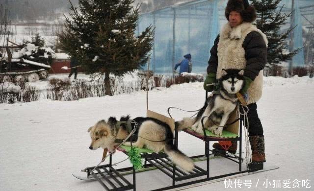  「方言」中国最没“存在感”的方言，全国各地能听懂，外国人也