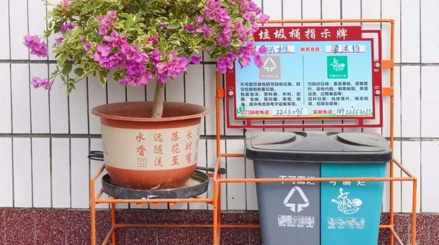  [可腐烂垃圾]新兴：生态靓丽添秀色 环境美化留乡愁