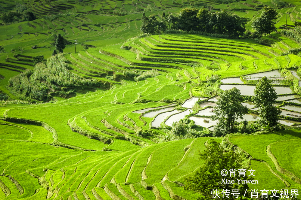 元阳梯田，有17多万亩，被命名为绿水青山就是金山银山实践基地