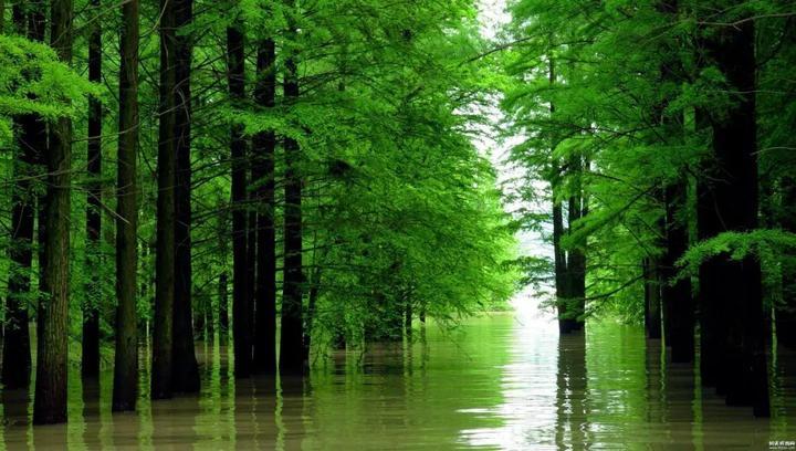 2019杭州最美旅游时间表出炉 承包你一整年的旅行！