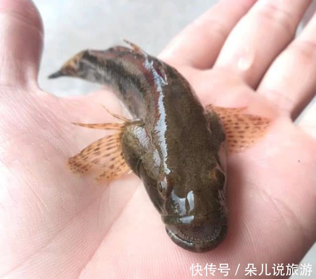 不到■明明是个好天气为啥鱼却不咬钩找不到原因,只会让你在河边吹风