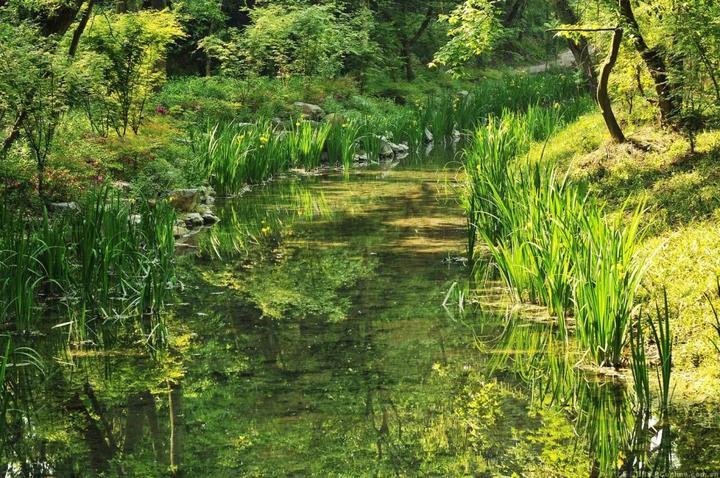 2019杭州最美旅游时间表出炉 承包你一整年的旅行！