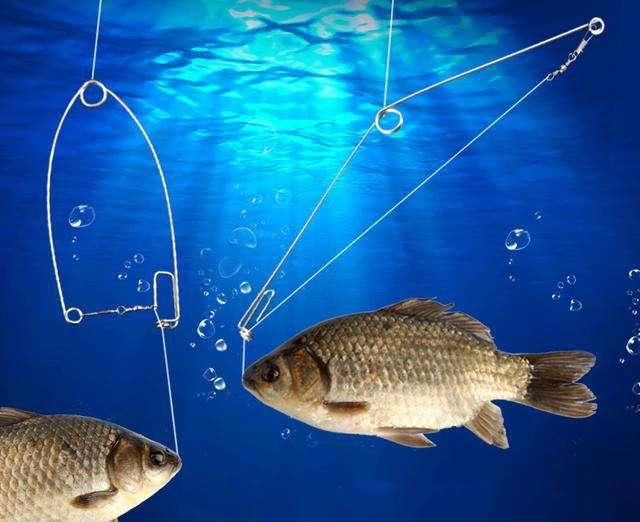 「究竟」说说“鱼钩”那些事,垂钓时究竟该如何正确选择鱼钩?