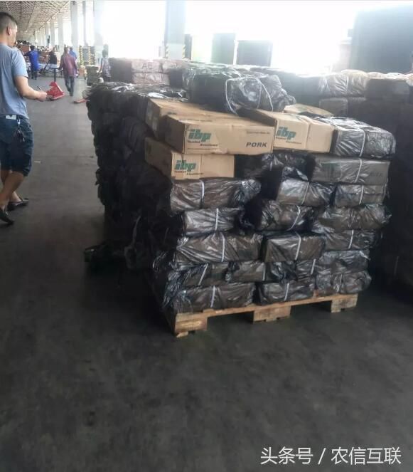 涨价预期被疫情打乱，后期猪价走势得要看疫情脸色？