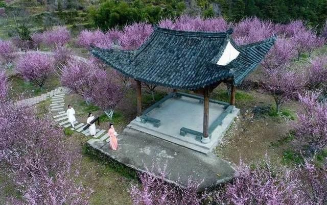 如何摄影如何摄影