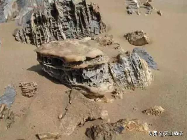 新疆17个捡宝石、玉石的地方 ！