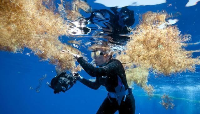 世界最神秘的海，海水透明度高达72米，船只一旦踏入便有去无回