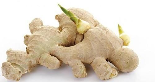  「白菜」“废根”不要丢，埋土“留半截”，20天成“盆栽”，还开花结果