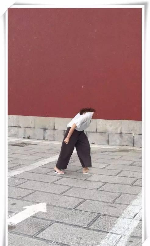 男子在黄山旅游不要命,爬到悬崖松树上拍照……