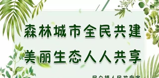 生猪供应不足，猪肉市场价格接连飙升！