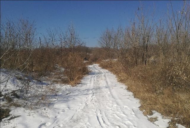  『妈呀』妈呀！东北太冷了！你在南方赏花玩水，我在雪地滚雪球打雪仗