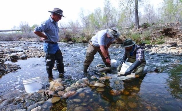 被嫌弃的免费景区：游客去了也不参观景点，直接去溪边淘金