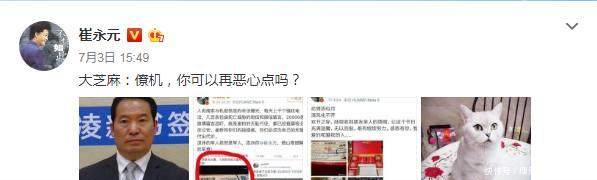 徐勇凌道歉后再撕铲屎官,铲屎官回应你可以再恶心点吗