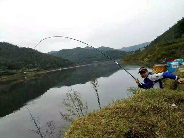  这款@钓鱼人小马哥专攻野钓十余年，自制出了这款在南方通杀的饵料