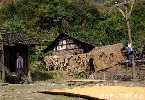  「蔓延」这5大怪象已在农村蔓延开来，农民呼吁：国家是该出手好