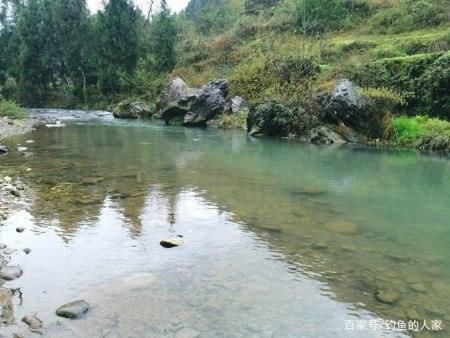  [溪流]清澈小溪寻钓，钓获20多条名贵马口鱼，还钓获珍贵溪水石斑鱼