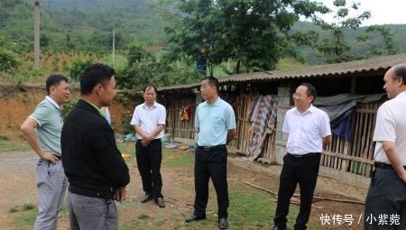  【明年】再过6个月, 土地确权结束, 4件事找村干部办理, 明年就