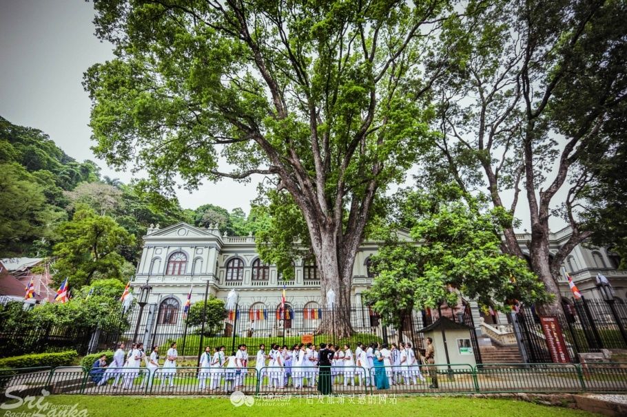 这个国家最重要的佛教圣物是一个5厘米的小物件