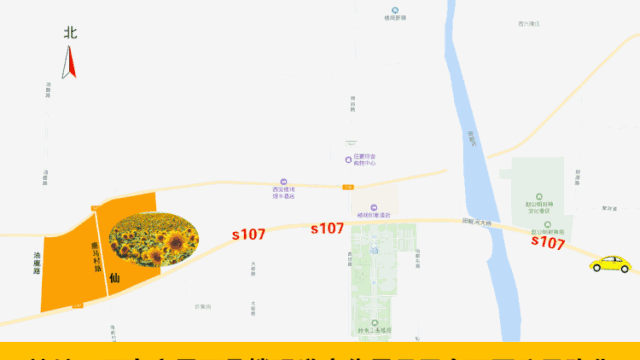 黄金九月楼观的花海开啦！赏花海、品花宴，全都不能错过！