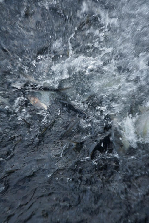 和萌宝的幸福三亚之行