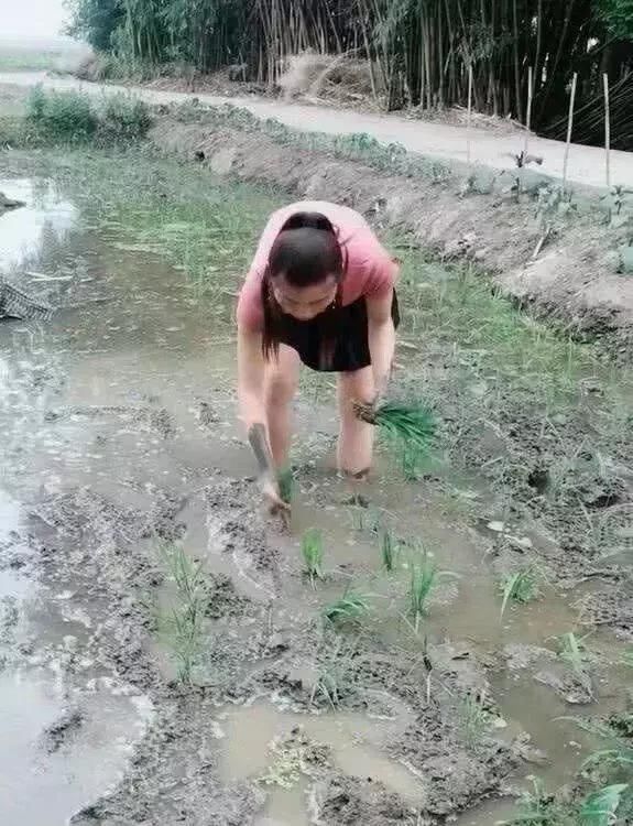 00后小姐姐田间插秧,紧身衣配上超短裙,性感妩媚不食烟火